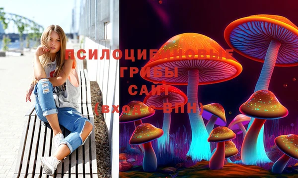 spice Абаза