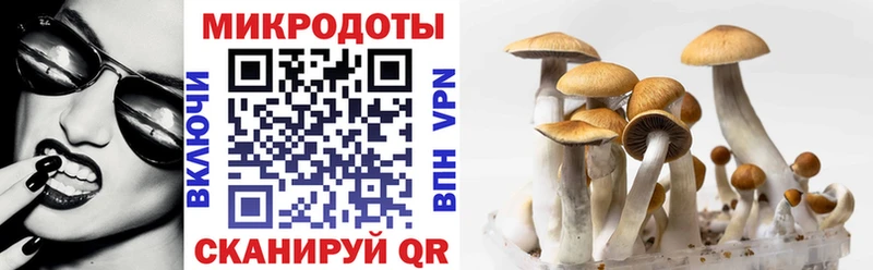 Галлюциногенные грибы Magic Shrooms Нахабино