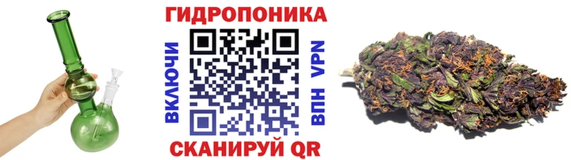 Шишки марихуана OG Kush  Нахабино 